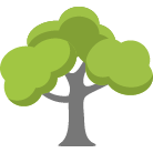 Elkhart Tree Removal